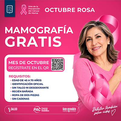 Gobierno de San Nicolas